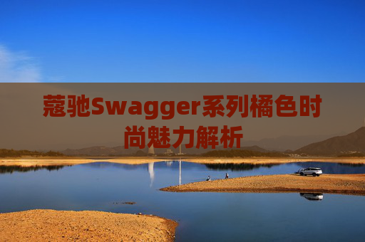 蔻驰Swagger系列橘色时尚魅力解析
