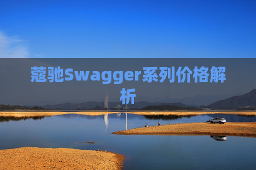 蔻驰Swagger系列价格解析